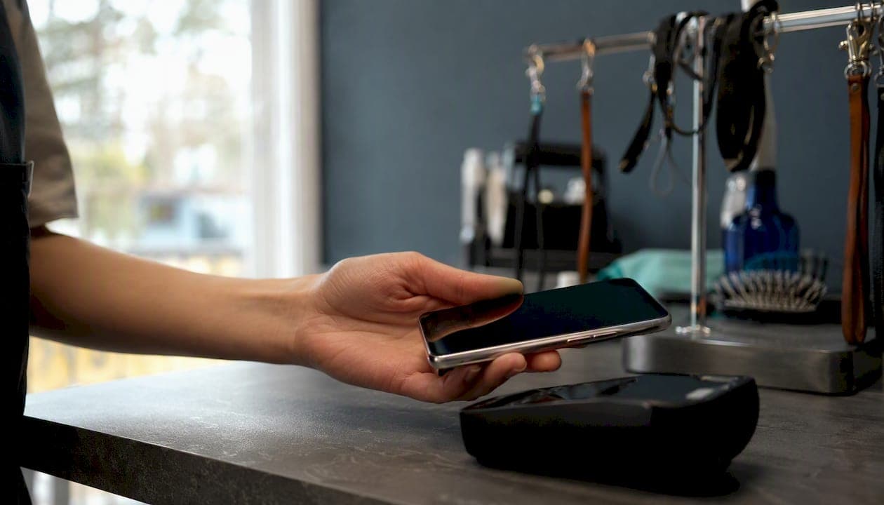 Card on file for merchants: what you need to know